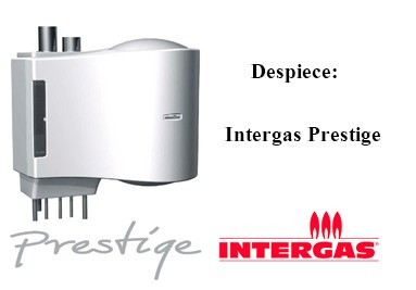 Despiece Intergas Prestige